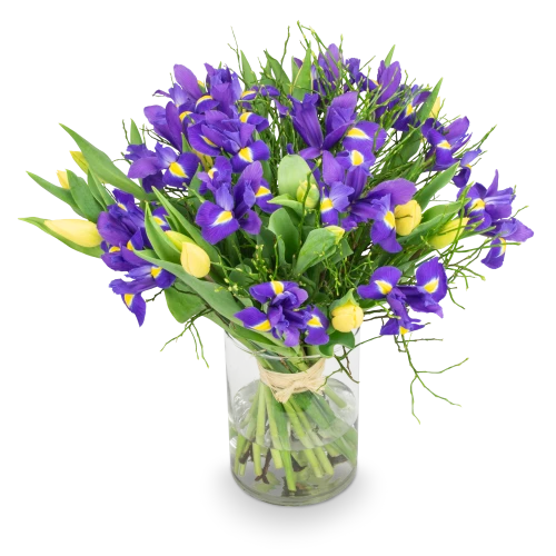 Kytice jarních květů